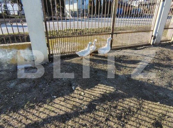 Teren de vânzare Mociu - 193313TV | BLITZ Cluj-Napoca | Poza1