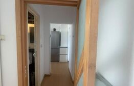 Apartament 2 camere, Grigorescu, aproape de Somes