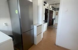 Apartament 2 camere, Grigorescu, aproape de Somes