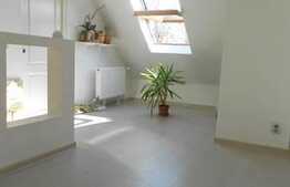 Casa 190 mp, teren 500 mp, partial mobilata, zona linistita