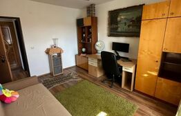 Apartament 2 camere, decomandat, 46 mp, etaj intermediar, parcare, Dâmbu Rotund