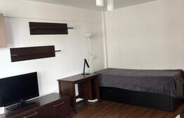 Apartament cu o camera, 38 mp, balcon, Zorilor