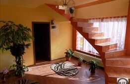 2 Case individuale in curte comuna, zona semicentrala, teren de 750 mp