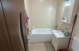 Apartament cu 2 camere, 46 mp, pet friendly, Bună-Ziua