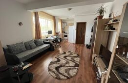 Apartament cu 2 camere, 46 mp, pet friendly, Bună-Ziua