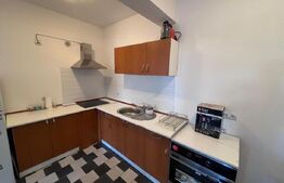Apartament 2 camere, curte proprie, parcare subterana inclusa