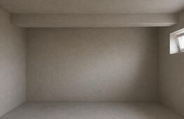 Apartament de 2 camere, demisol, zonă centrală