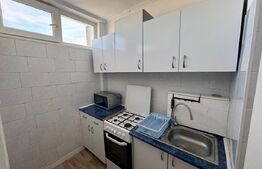 Garsoniera de inchiriat, 32 mp, moderna, zona - Minerva