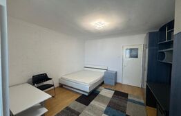 Garsoniera de inchiriat, 32 mp, moderna, zona - Minerva
