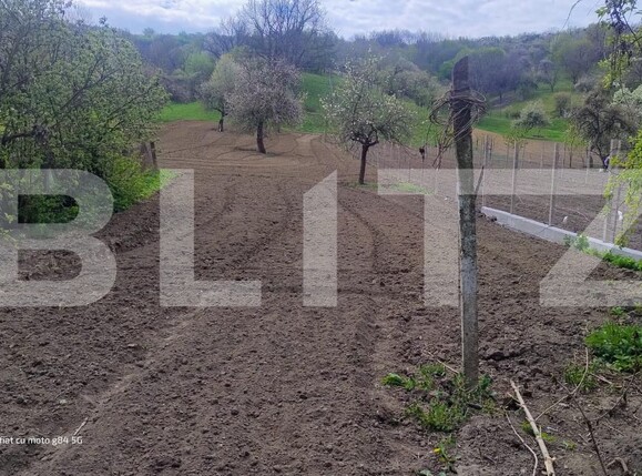 Casa de vânzare 3 camere Mica - 193602CV | BLITZ Cluj-Napoca | Poza12