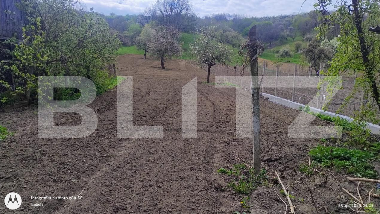 Casa de vânzare 3 camere Mica - 193602CV | BLITZ Cluj-Napoca | Poza12