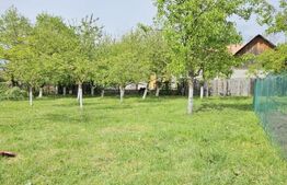 Casa individuala in loc. Livada/Petrestii de Jos 