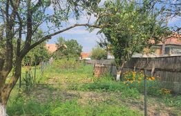 Casa individuala in loc. Livada/Petrestii de Jos 