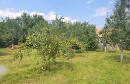 Casa individuala in loc. Livada/Petrestii de Jos 