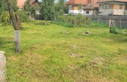 Casa individuala in loc. Livada/Petrestii de Jos 