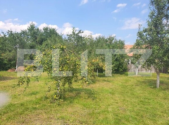 Casa de vânzare 4 camere Exterior Sud - 193661CV | BLITZ Cluj-Napoca | Poza2