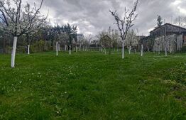 Vilă stil Neoromânesc, arhitectură cu coloane ,152 mp , cart Andrei Muresanu !