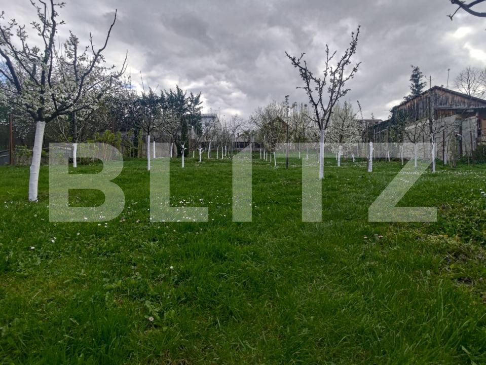 Casa de vânzare 5 camere Andrei Mureşanu - 193665CV | BLITZ Cluj-Napoca | Poza4