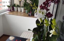🌄 Apartament 2 camere, decomandat – Noua | Vedere superbă spre munți