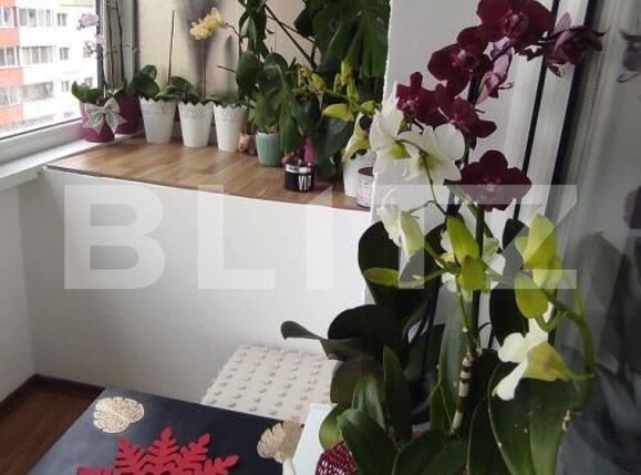 Apartament de vânzare 2 camere Noua - 193667AV | BLITZ Brașov | Poza5