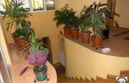 Casa 8 camere, 600 mp utili, 1200 mp teren, zona de case!