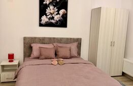 Garsonieră cochetă, perfectă pentru locuit sau investiție