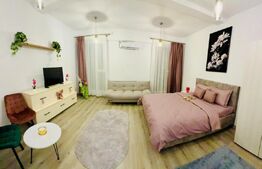 Garsonieră cochetă, perfectă pentru locuit sau investiție