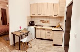 Garsonieră cochetă, perfectă pentru locuit sau investiție