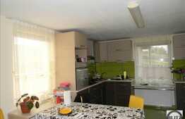 Casa 120 mp plus o hala noua de 690 mp teren,1354 mp, in Iris!