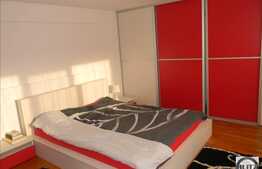 Casa 120 mp plus o hala noua de 690 mp teren,1354 mp, in Iris!