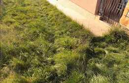 Casa 185 mp utili, 500 mp teren, c-tie noua pe 2 nivele, garaj subteran!