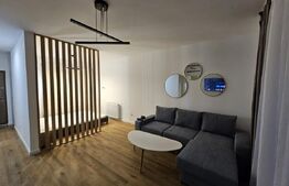 Apartament 1 cameră, 46 mp, parcare, zona Abatorului