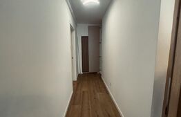 Apartament 1 cameră, 46 mp, parcare, zona Subcetate
