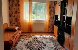 Garsoniera de vanzare, 22  mp, etajul 2 - Marasti