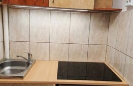 Garsoniera de vanzare, 22  mp, etajul 2 - Marasti