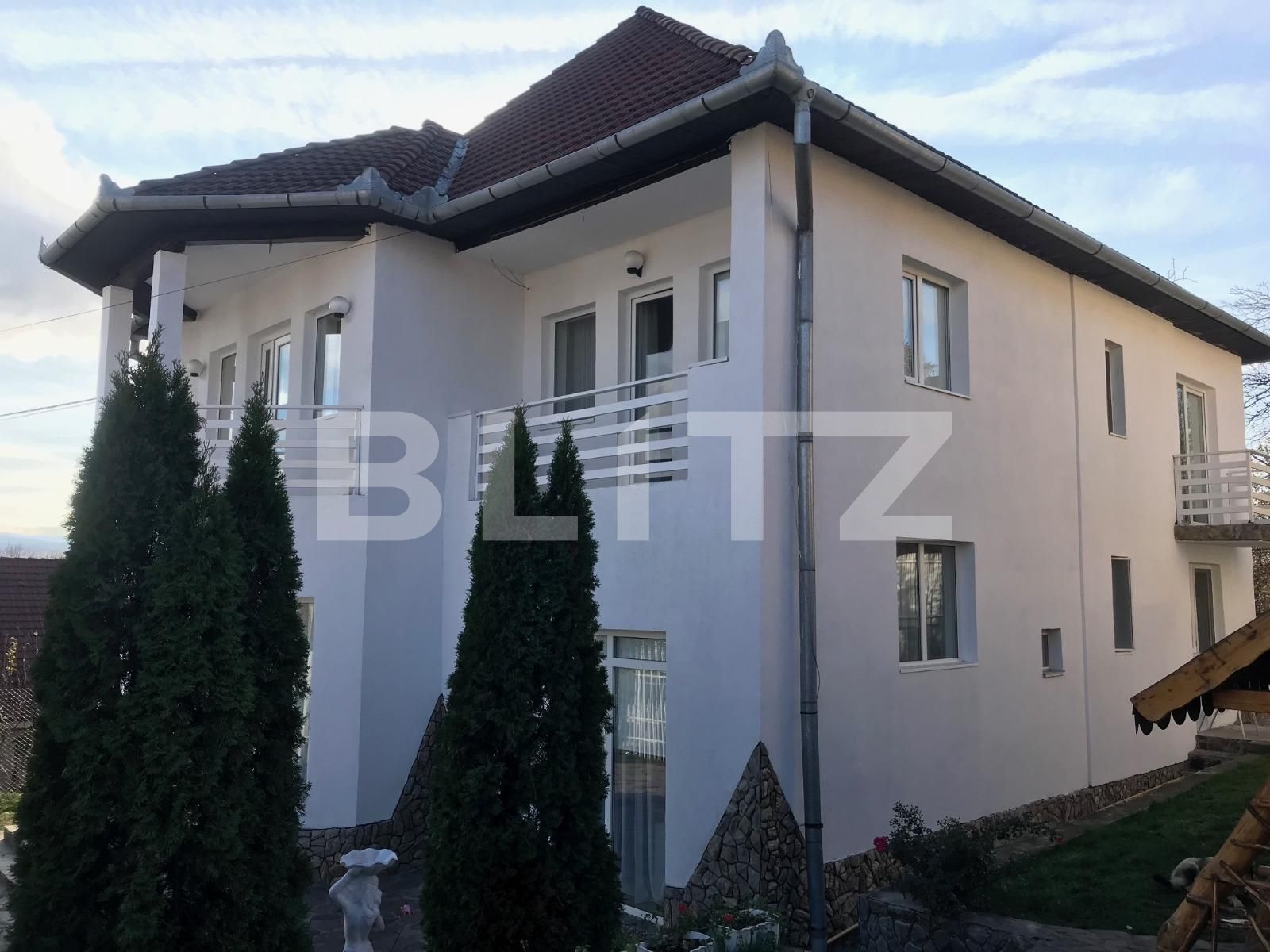Casa de vânzare 8 camere Dambul Rotund - 19374CV | BLITZ Cluj-Napoca | Poza19