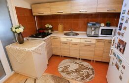 Oportunitate apartament cochet, mobilat, Baciu Regal