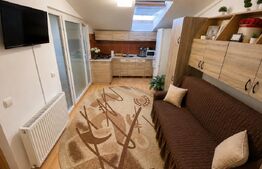 Oportunitate apartament cochet, mobilat, Baciu Regal