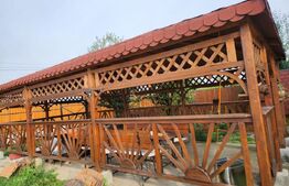 Investitie ! Casa unifamiliala, 250 mp utili, 1100 mp teren, Apahida!