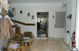 Vanzare casa individuala, 220 mp utili si 530 mp teren, zona Centrala!