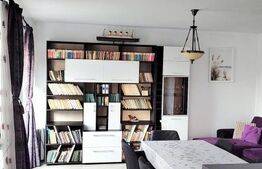 Casă spațioasă, prima închiriere, Florilor Brașov, curte și saună