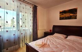 Casă spațioasă, prima închiriere, Florilor Brașov, curte și saună
