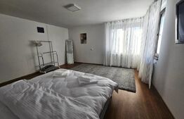 Casă spațioasă, prima închiriere, Florilor Brașov, curte și saună