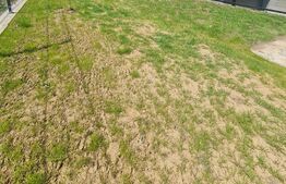 Apartament semidecomandat, 49 mp utili, gradina de 95 mp, parcare, zona Eroilor