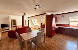 Chirie superba! 4 camere, in vila, garaj, zona Racovita