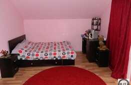 De vanzare casa individuala, 200 mp si 490 mp gradina, zona Dambul Rotund