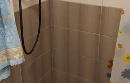 Apartament 5 camere, 100 mp, parter, pivniță 100 mp, zona Calvaria Mănăștur