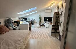 Apartament 170 mp, 2 niveluri, terasă 27 mp, zonă premium Plopilor