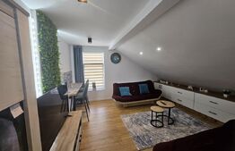 Garsoniera utilata si mobilata complet, zona Ioan Rus