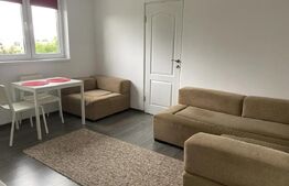 Apartament cu 2 camere, mobilat modern, 32 mp, Andrei Muresanu